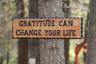 Life Changing  by Chiyo rain Gratitude Works!
