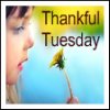 Blogratitude None3 Blogratitude